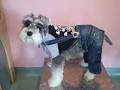 K9 Chic Pet Groomers image 2