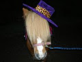 Major Family Fun Pony Parties image 1