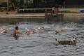 Mt Barker Swimming School image 3