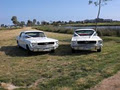 PONY CAR HIRE MELBOURNE image 3