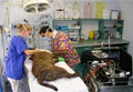 Parkinson Veterinary Surgery image 2