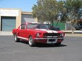 Pete's Mustang Rentals image 2