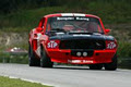 Pete's Mustang Rentals logo