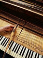 Quality Piano Tuning image 2