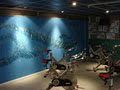 Shack Sorell Fitness Studio logo