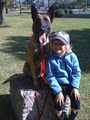 Sit Means Sit Dog Training - Brisbane image 3