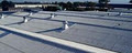 Sydney Roofing Company - Roof Repairs, Asbestos Removal & Metal Roof Restoration image 1