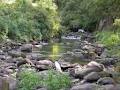 Tarra Valley Tourist Park Fernholme image 3