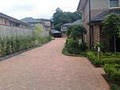 Vision Property & Landscape Care image 2