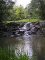 Waterfall Hideout-Rainforest Cabin for Couples image 3