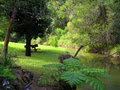 Waterfall Hideout-Rainforest Cabin for Couples image 5