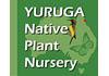 Yuruga Nursery image 6
