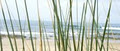 stevelane.com.au C/o Ray White Peregian Beach image 5