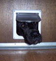 www.petdoors.net.au image 1