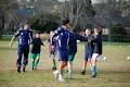 Ashburton Junior Soccer Club logo