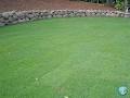 Australian Lawn Concepts image 3