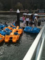 Bobbin Head Paddle Boat Hire image 3