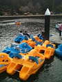 Bobbin Head Paddle Boat Hire logo