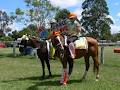 Burpengary Pony Club image 3