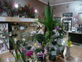 Canterbury Rd Flower Gallery image 5