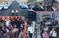 Citywatch Security image 1