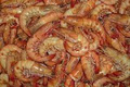 Coastal Seafoods image 2