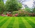 D&D"S DYNAMITE LAWN MOWING AND GARDENING SERVICES OF CRANBOURNE logo