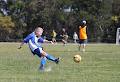 Engadine Eagles Soccer Club image 4