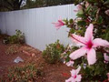 Fencing Contractor image 1