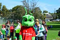 Grasshopper Soccer image 1