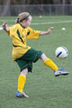 Inter Sporting Essentials (ISE) logo