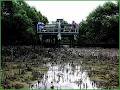 Jervis Bay Tourism image 4