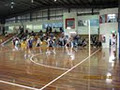 Knox Regional Netball Centre logo