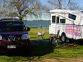 Lake Mulwala Holiday Park image 5