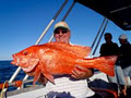 Mackerel Islands Charters image 6