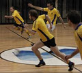 MelbourneFutsal - North Melbourne image 1