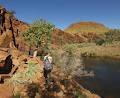 Millstream Chichester National Park image 2