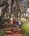 Millstream Chichester National Park image 4