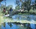 Millstream Chichester National Park logo