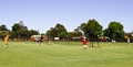 Mt Lawley Tennis Club image 1