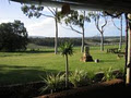 Swings & Roundabouts Winery image 4