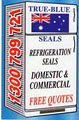 TRUE-BLUE SEALS logo