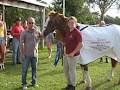 Tewantin Noosa Pony Club image 2