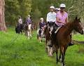 Tonimbuk Trail Rides image 4