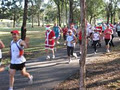 Western District Joggers and Harriers (Westies Joggers) image 2