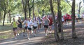 Western District Joggers and Harriers (Westies Joggers) image 1