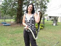 snakecatcher4u.com.au logo