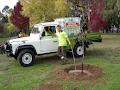 Adelaide Arborists image 3