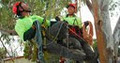 Arbortech Tree Services logo