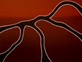 Artlandish Aboriginal Art image 4